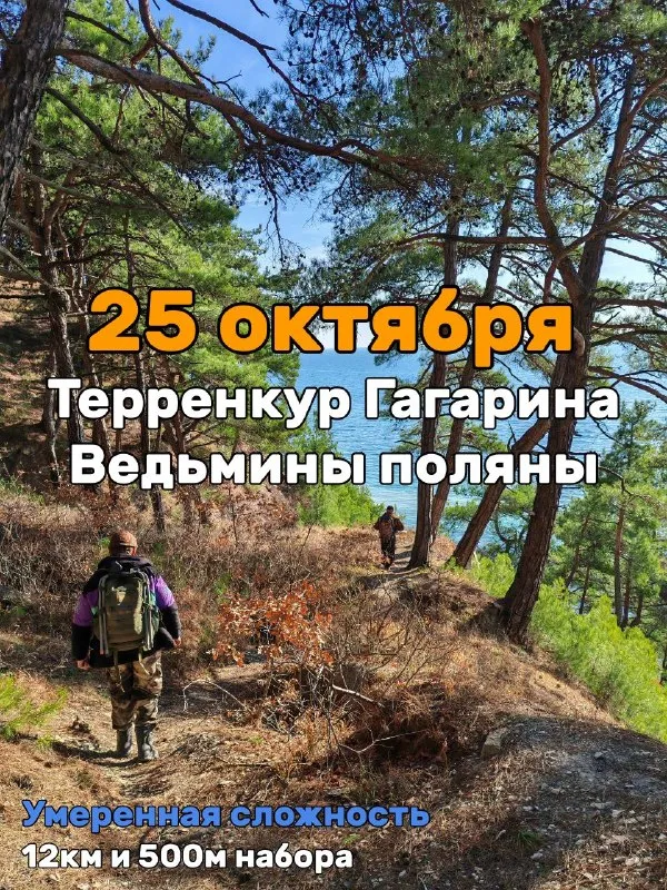 Утиные истории — туристический клуб Геленджика