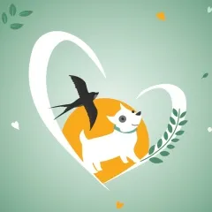 Приют «Собачье сердце»