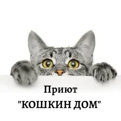 Мини-приют «Кошкин Дом»