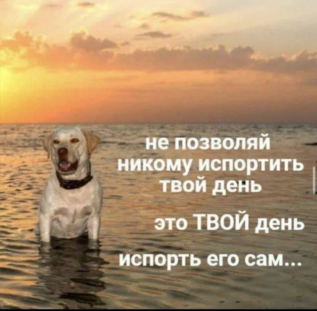 Гнездо Кукухи